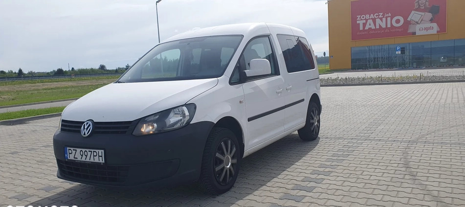 Volkswagen Caddy cena 42900 przebieg: 207900, rok produkcji 2014 z Koszalin małe 781